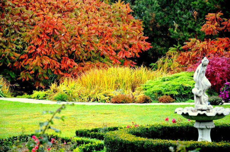 Murzynowo Kościelne Zielone Zacisze Bed & Breakfast エクステリア 写真