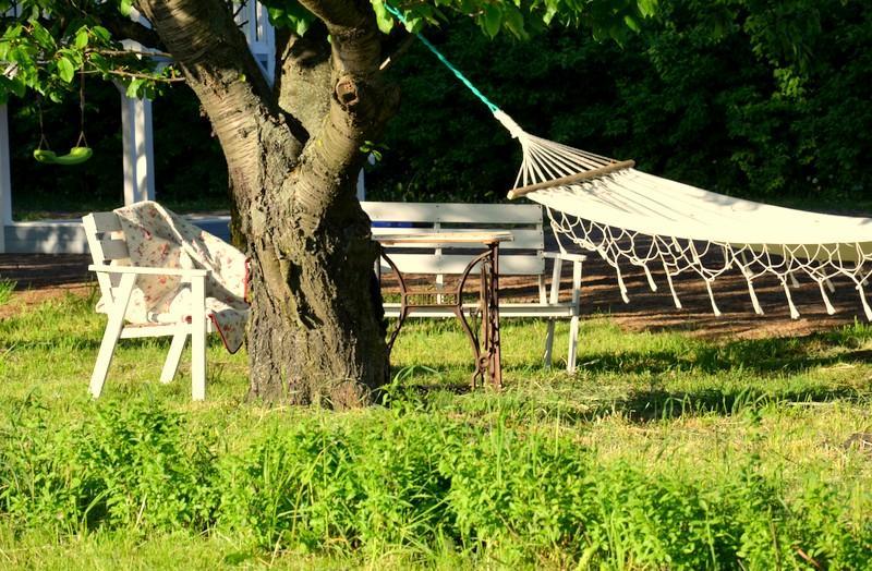 Murzynowo Kościelne Zielone Zacisze Bed & Breakfast エクステリア 写真
